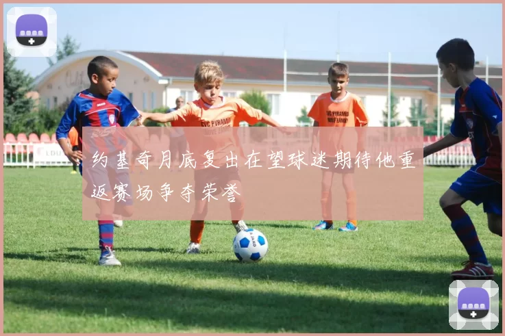 约基奇月底复出在望球迷期待他重返赛场争夺荣誉