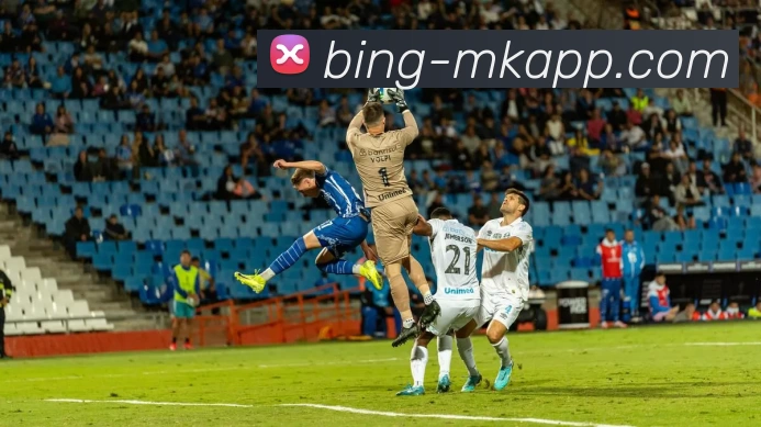 MK体育APP 封面图